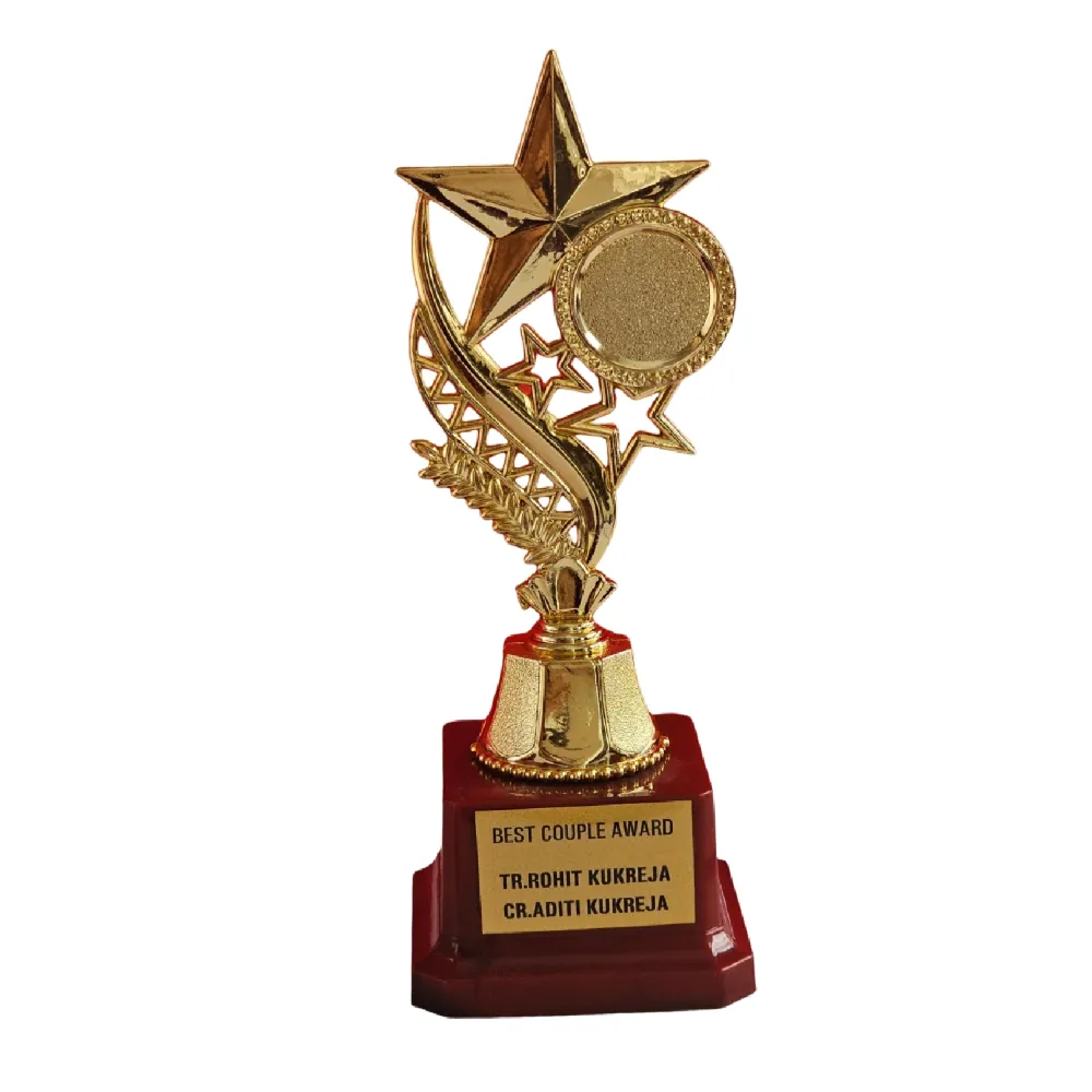 Order 7 Inch Shining Star Trophy